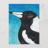 Macca the Magpie Briefkaart (Voorkant)