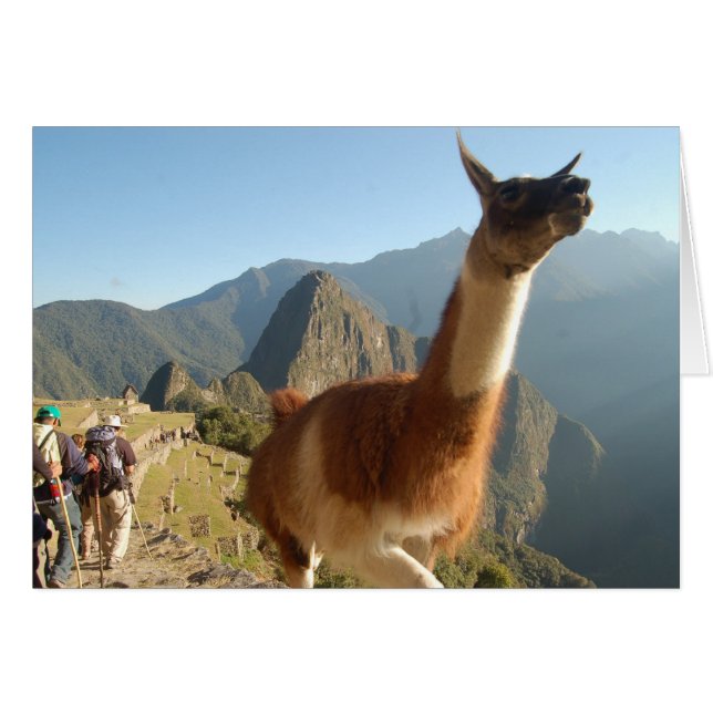 Macchu Picchu (Voorkant Horizontaal)