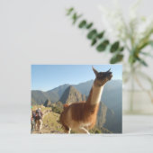 Macchu Picchu Briefkaart (Staand voorkant)