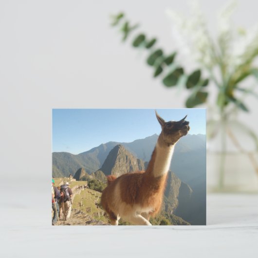Macchu Picchu Briefkaart (Staand voorkant)
