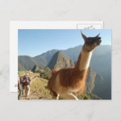 Macchu Picchu Briefkaart (Voorkant / Achterkant)