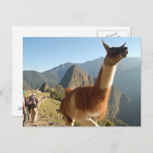 Macchu Picchu Briefkaart (Voorkant / Achterkant)