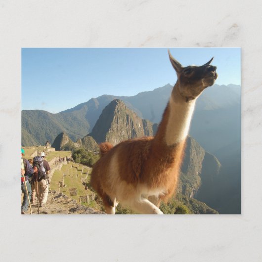 Macchu Picchu Briefkaart (Voorkant)