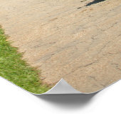 Macclesfield Canal Higher Poynton Cheshire Poster (Hoek)