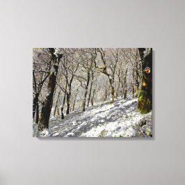 Macclesfield Forest Winter Card Acrylprint Canvas Afdruk