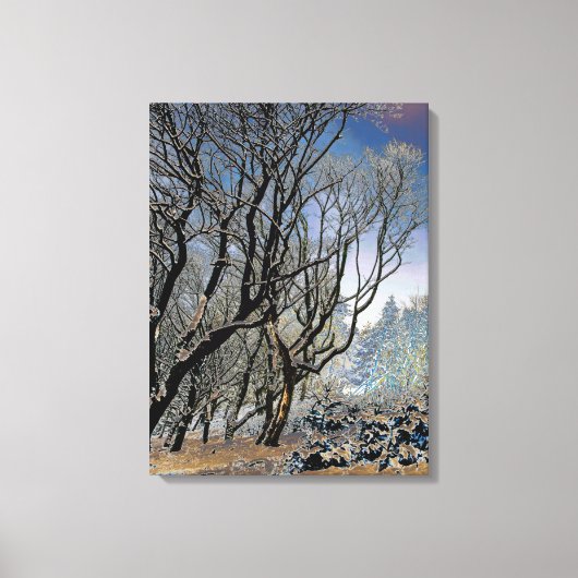 Macclesfield Forest Winter Card Acrylprint Canvas Afdruk (Voorkant)
