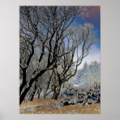 Macclesfield Forest Winter Card Acrylprint Poster (Voorkant)