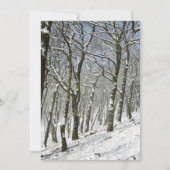 Macclesfield Forest Winter Card Bedankkaart (Voorkant)