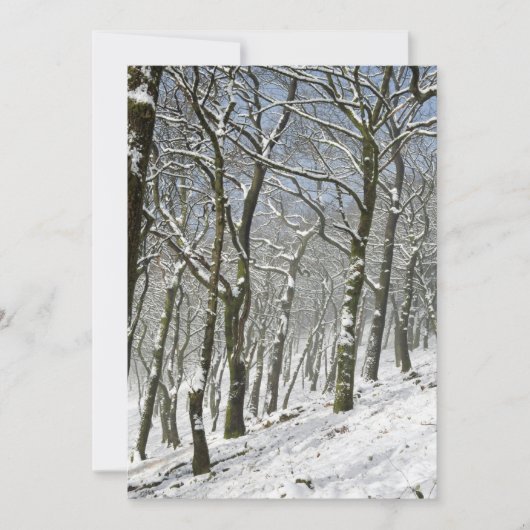 Macclesfield Forest Winter Card Bedankkaart (Voorkant)