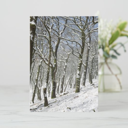 Macclesfield Forest Winter Card Bedankkaart (Staand voorkant)