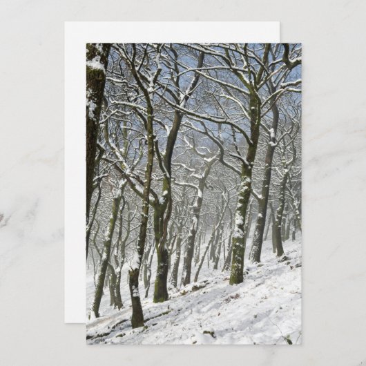 Macclesfield Forest Winter Card Bedankkaart (Voorkant / Achterkant)