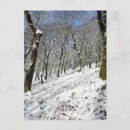 Macclesfield Forest Winter Card Briefkaart