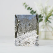Macclesfield Forest Winter Card Briefkaart (Staand voorkant)