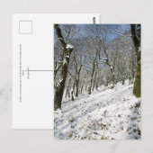 Macclesfield Forest Winter Card Briefkaart (Voorkant / Achterkant)