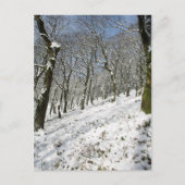 Macclesfield Forest Winter Card Briefkaart (Voorkant)