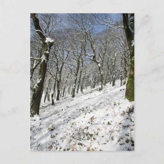 Macclesfield Forest Winter Card Briefkaart (Voorkant)