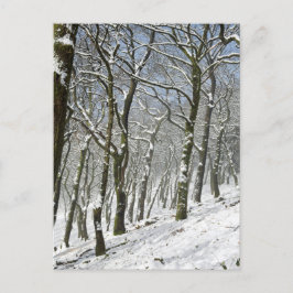 Macclesfield Forest Winter Card Briefkaart
