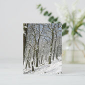 Macclesfield Forest Winter Card Briefkaart (Staand voorkant)