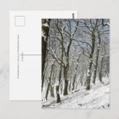 Macclesfield Forest Winter Card Briefkaart (Voorkant / Achterkant)