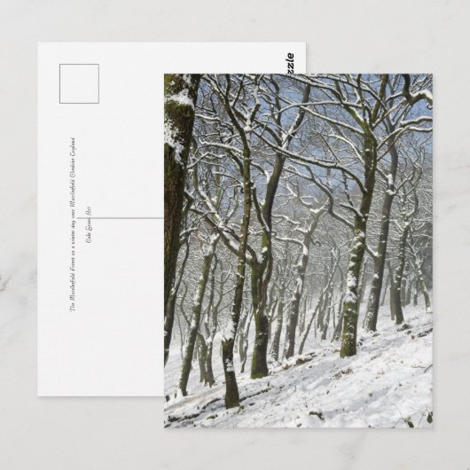 Macclesfield Forest Winter Card Briefkaart (Voorkant / Achterkant)