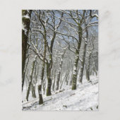Macclesfield Forest Winter Card Briefkaart (Voorkant)