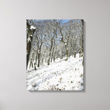 Macclesfield Forest Winter Card