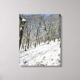 Macclesfield Forest Winter Card Canvas Afdruk