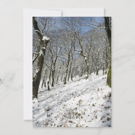 Macclesfield Forest Winter Card Feestdagenkaart (Voorkant)