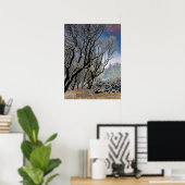 Macclesfield Forest Winterkaart Acrylprint Poster (Thuiskantoor)