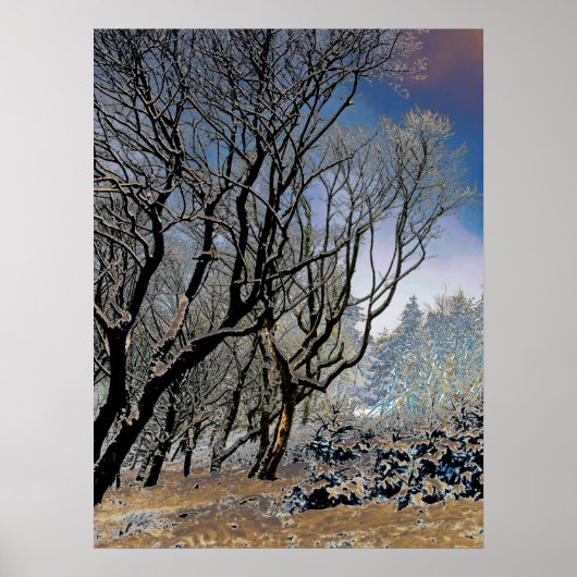 Macclesfield Forest Winterkaart Acrylprint Poster (Voorkant)