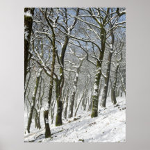 Macclesfield Forest Winterkaart Canvasprint