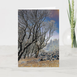 Macclesfield Winter Kaart