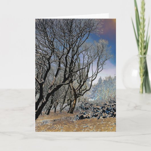 Macclesfield Winter Kaart (Voorkant)