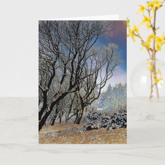 Macclesfield Winter Kaart (Gele Bloem)