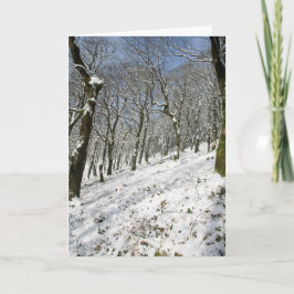 Macclesfield Winter Kaart