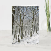 Macclesfield Winter Kaart (Voorkant)