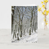 Macclesfield Winter Kaart (Gele Bloem)