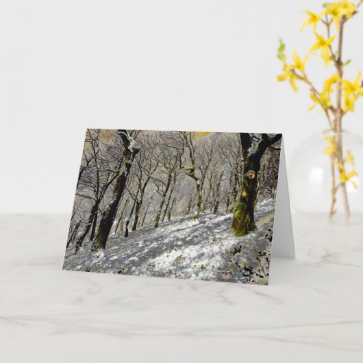 Macclesfield Winter Kaart (Gele Bloem)