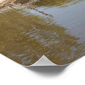 Macclesfieldkanaal Higher Poynton Cheshire Poster (Hoek)