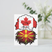 Macedonische Canadese bomen in Canada Briefkaart (Staand voorkant)