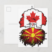 Macedonische Canadese bomen in Canada Briefkaart (Voorkant / Achterkant)