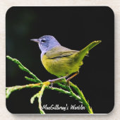 MacGillivray's Warbler Onderzetter (Voorkant)
