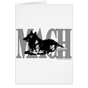 MACH Belgium Terveren