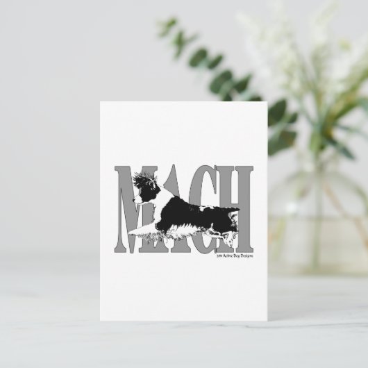 MACH Springer Briefkaart (Staand voorkant)