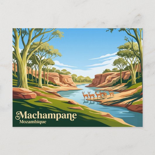 Machampane-wildernis Mozambique Briefkaart (Voorkant)