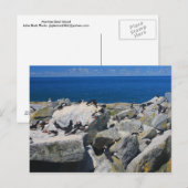 Machias Seal Atlantic Puffins Razorrekeningen Briefkaart (Voorkant / Achterkant)