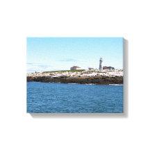 Machias Seal Island Lighthouse Canvas Print