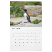 Machias Seal Island (Puffins) 2026 Kalender (Mar 2026)