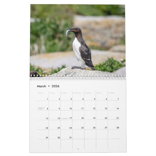 Machias Seal Island (Puffins) 2026 Kalender (Mar 2026)