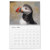 Machias Seal Island (Puffins) 2026 Kalender (Jan 2026)
